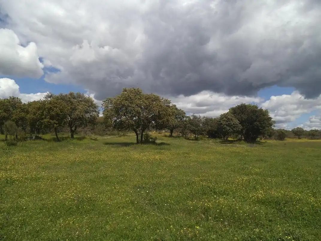 Residencial en venda en Valdemorillo