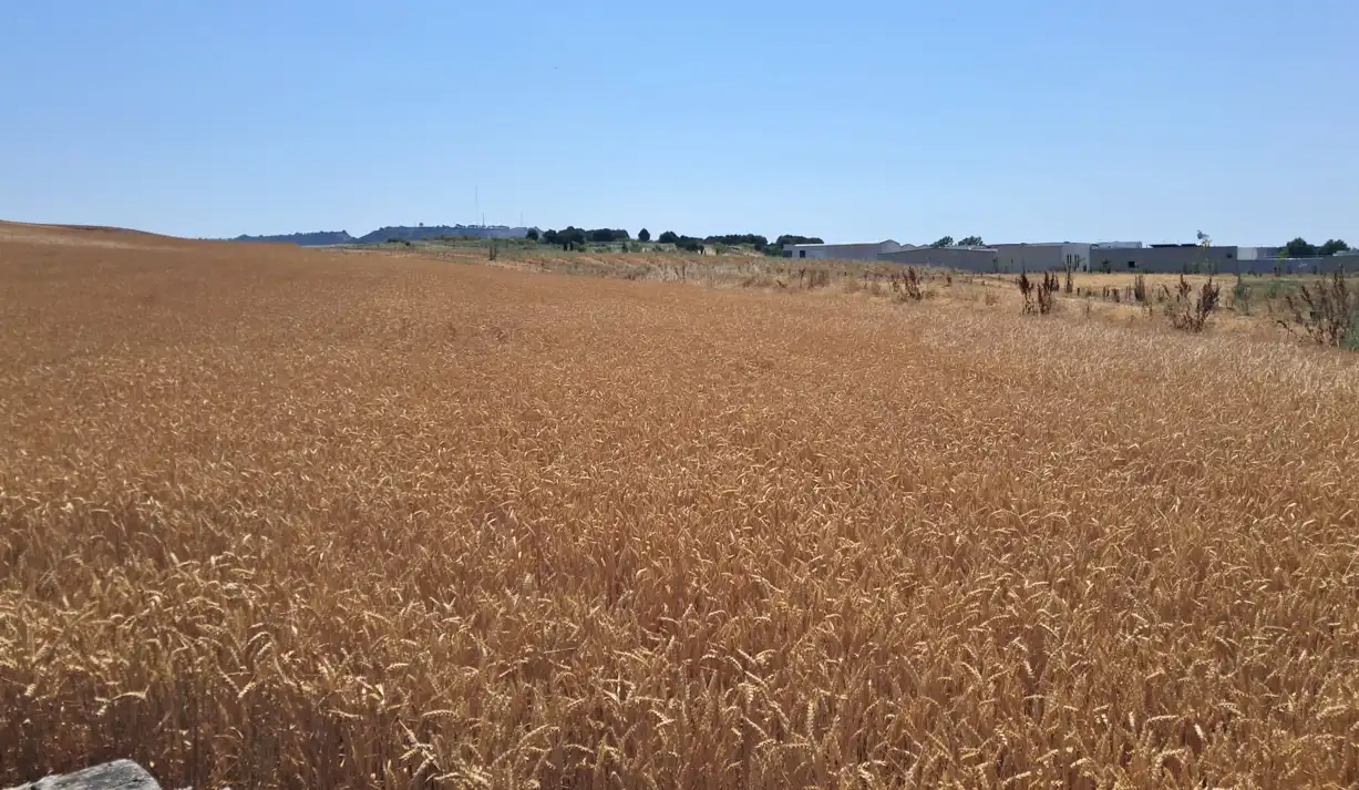 Terreno residencial en venta en SISTEMAS GRALES ADSCRITOS, imagen 3