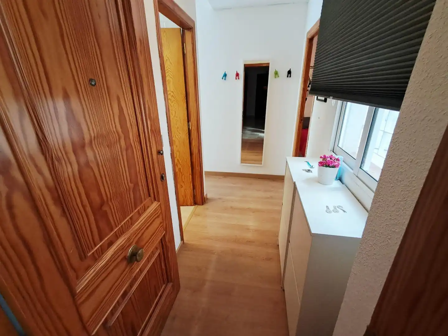 Appartement avec terrasse à louer à CAÑOS, imagen 2