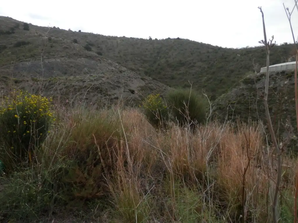 Residencial en venta en Lújar