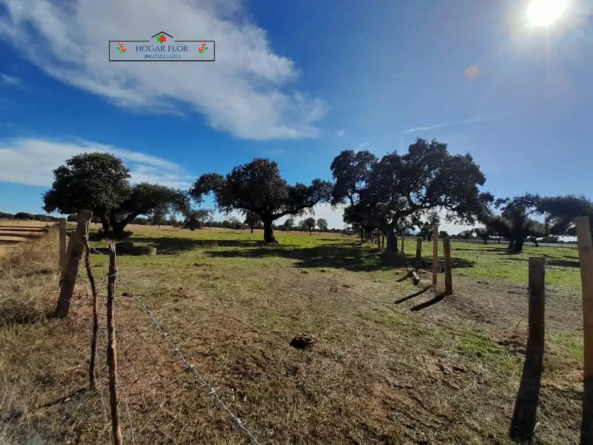 Finca rústica en venta en Carrascal del Obispo