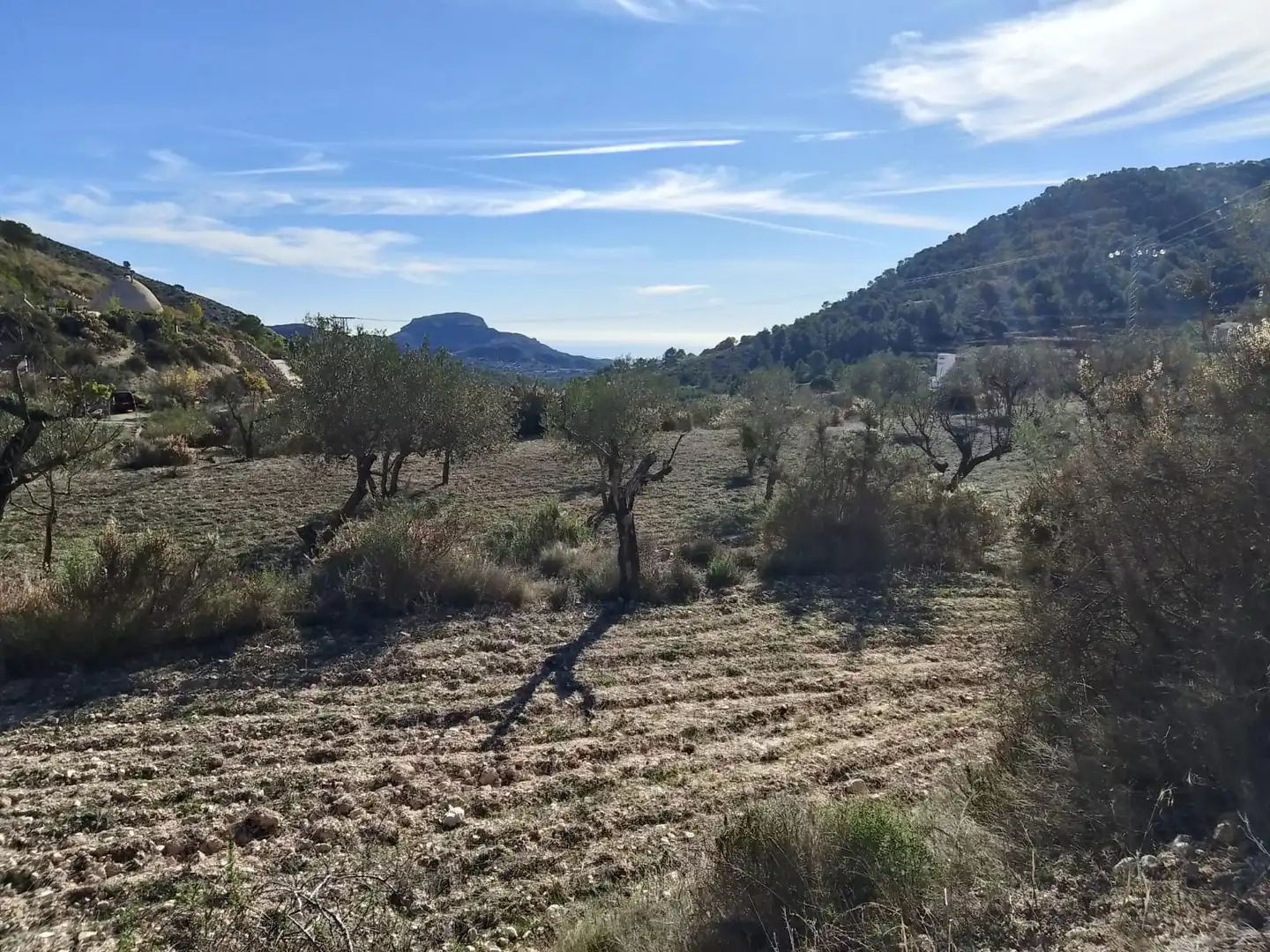 Terreno rustico in vendita a Carrer la Creu, imagen 15