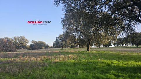 FINCA RÚSTICA DE 22 HA A LA VENTA, imatge 3