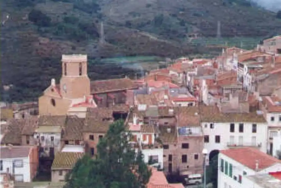 Terreni e lotti in vendita a Riudecols, imagen 19