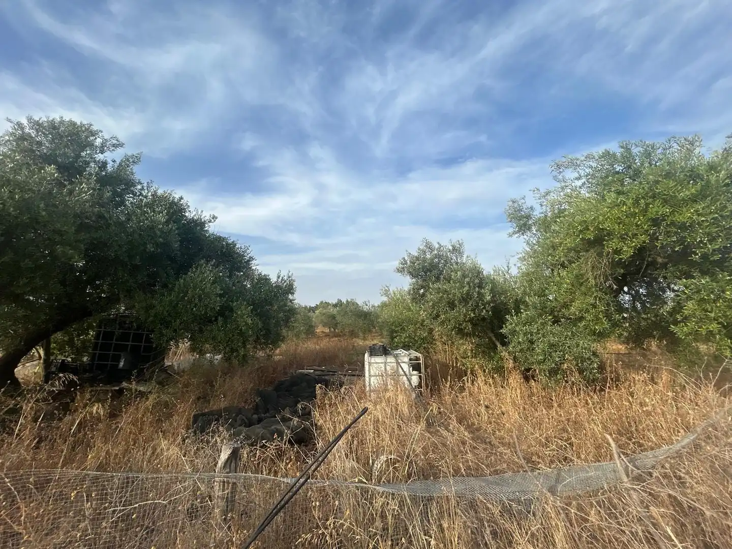 Grundstücke zum Verkauf in Utrera