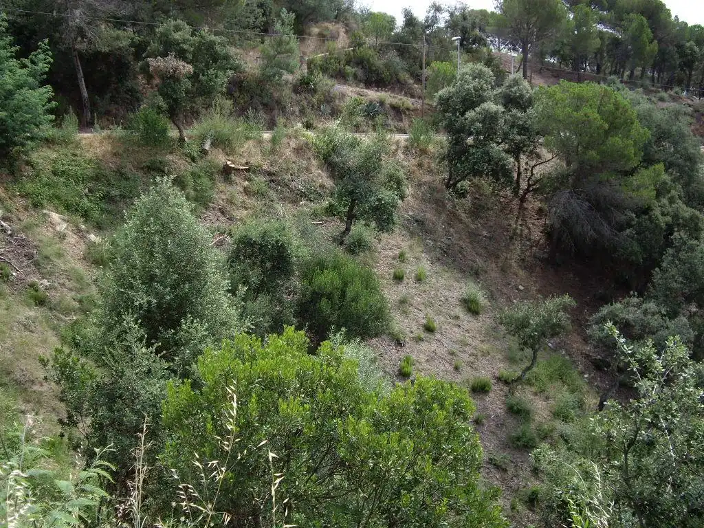 Terreny residencial en venda a Alzina 62, imagen 2