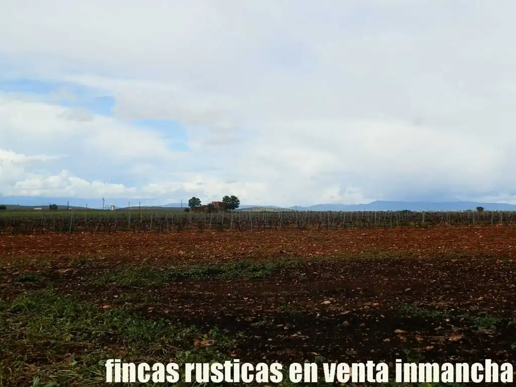 Terreno rustico in vendita a Pozuelo de Calatrava, imagen 19
