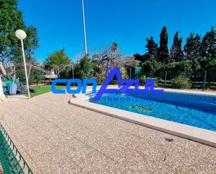 Swimming pool of House or chalet to rent in Elche / Elx  with Terrace and Swimming Pool