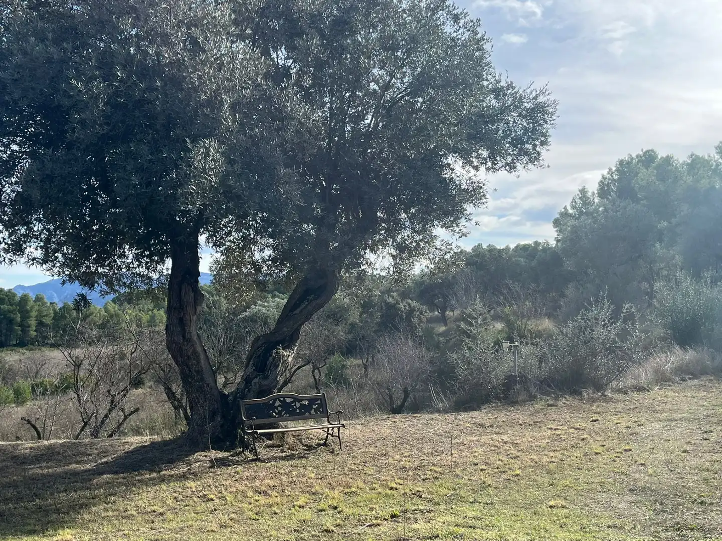 Terreno en venta en Arens de Lledó