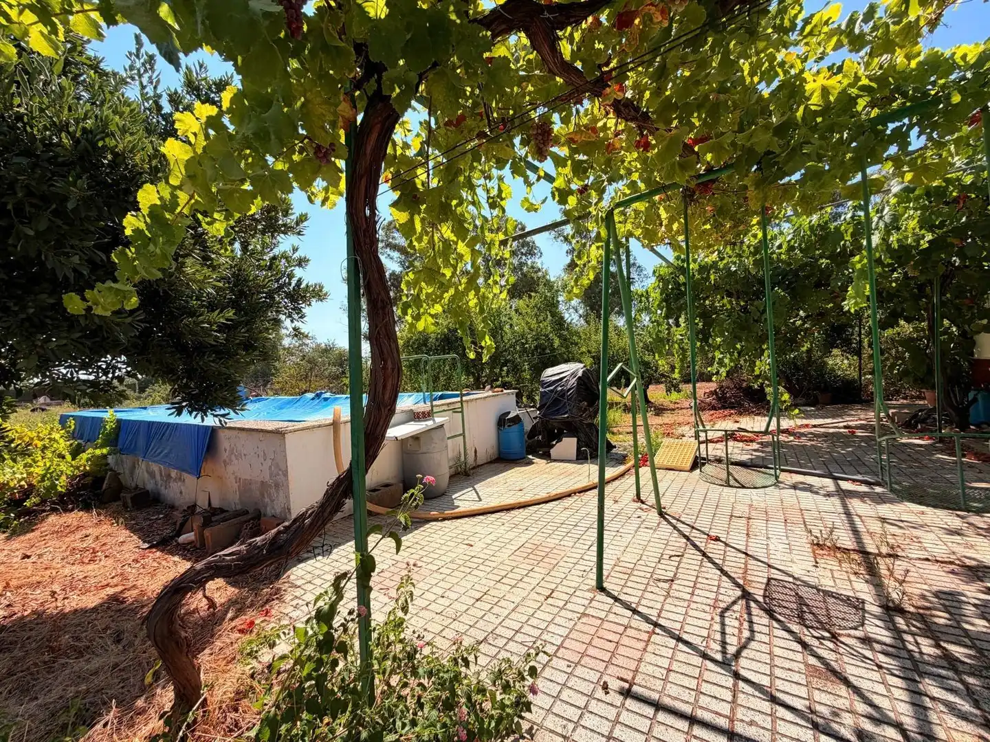 Piscina de Casa o chalet en venta en Valverde de Mérida con Jardín privado, Terraza y Trastero