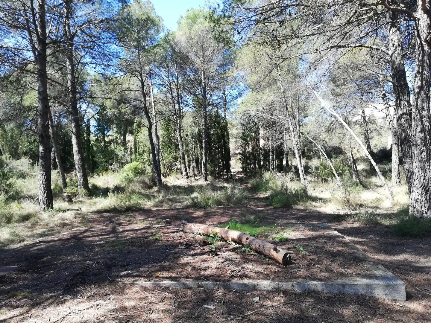 Residencial en venta en La Pobla de Claramunt