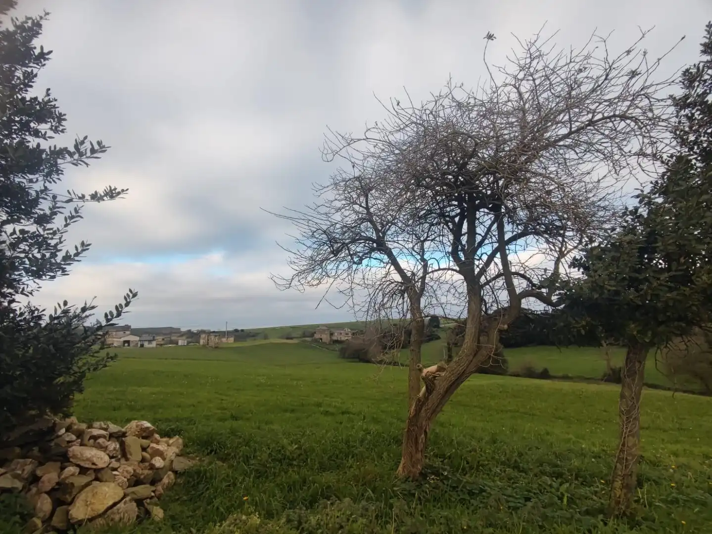 Grundstücke und Bauplätze zum Verkauf in Polígono 4 Parcela 520 CP LA MARINA TAPIA DE CAS, imagen 9