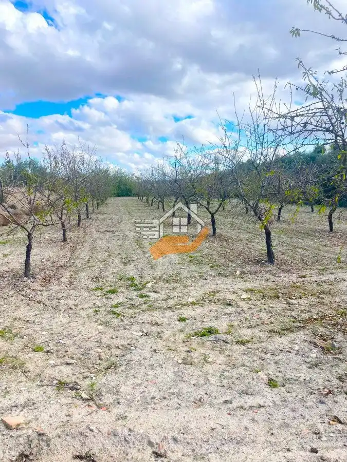 Residential land for sale in Vélez-Rubio, imagen 13