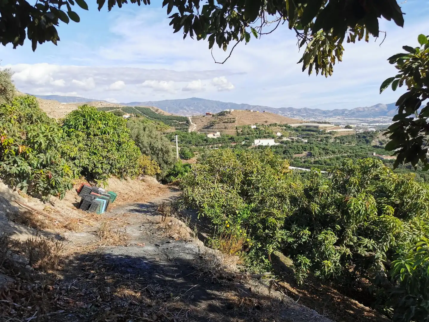 Casa rústica en venda a Motril  ciudad, imagen 8