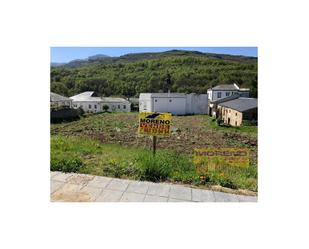 Residential for sale in Triacastela