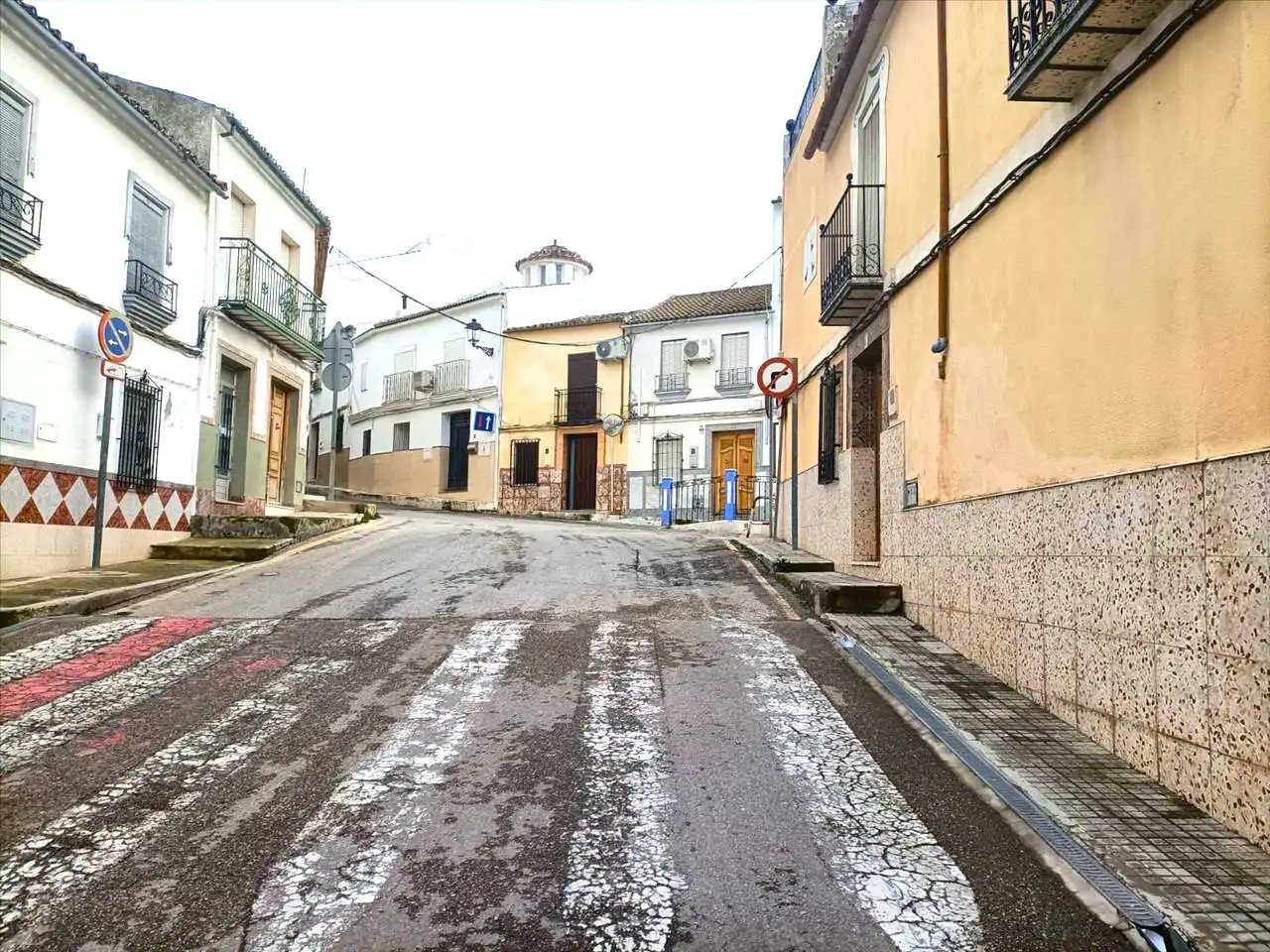 Exterior view of Houses for sale in Rute  with Terrace