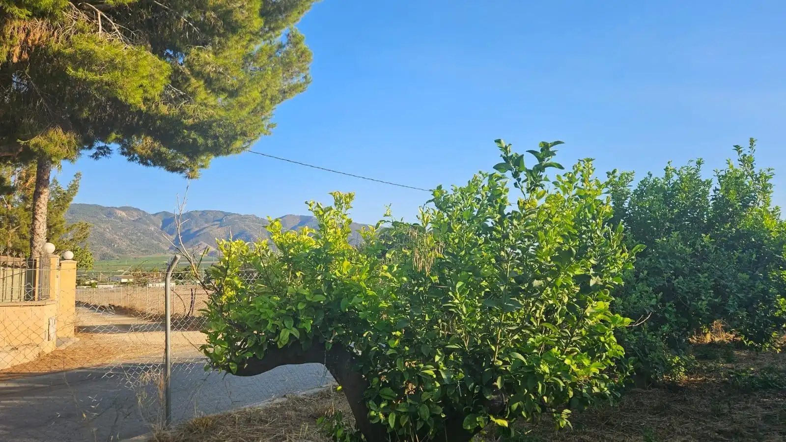 Finca rústica en venta en Librilla