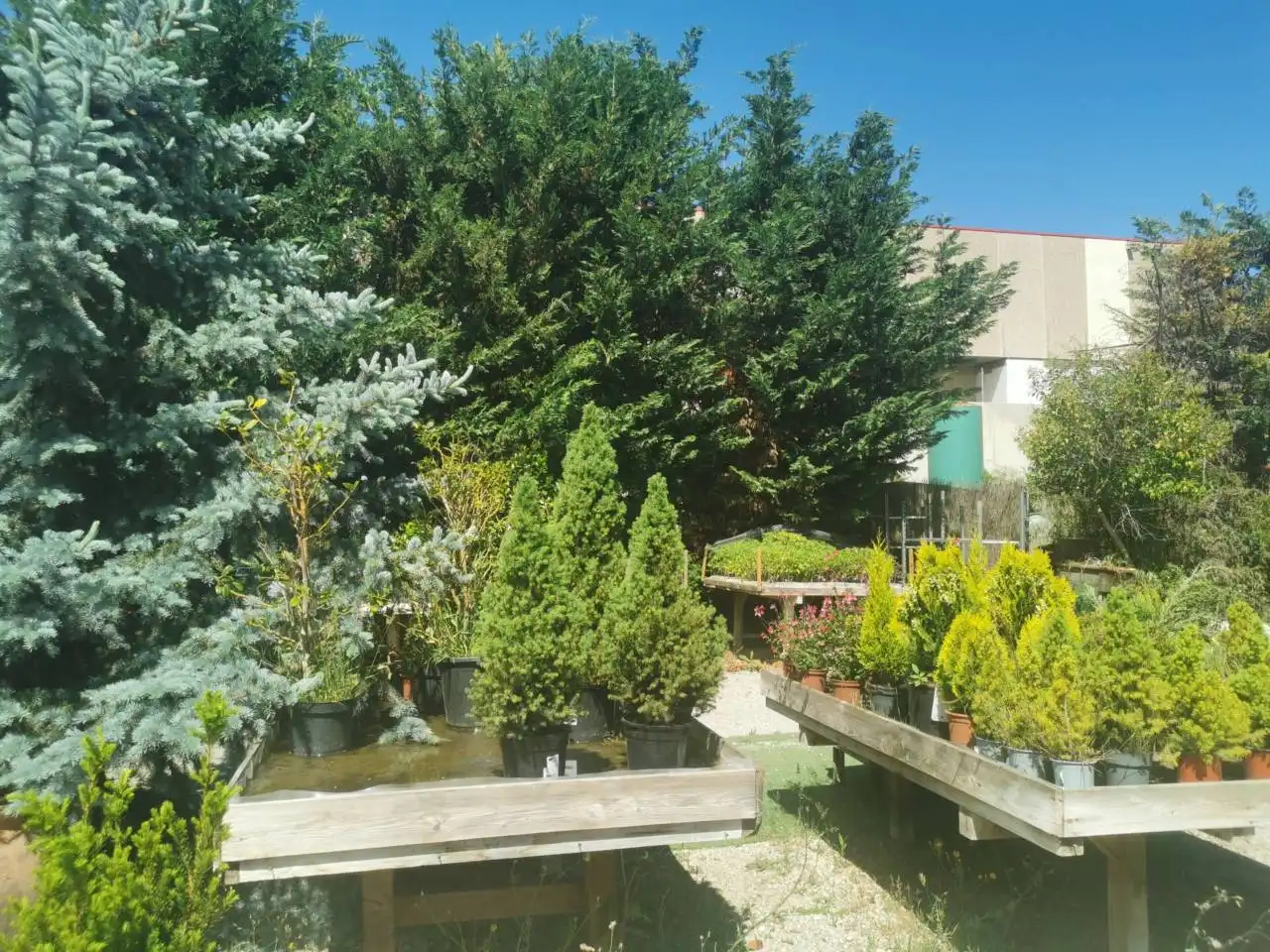 Local comercial en alquiler en Avenida Madrid 60, imagen 6