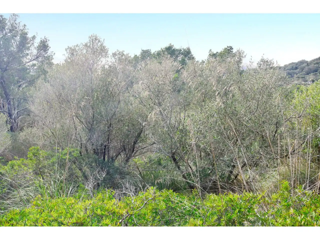 Wohnbaugrundstück zum Verkauf in Poligono 34 1254, imagen 6