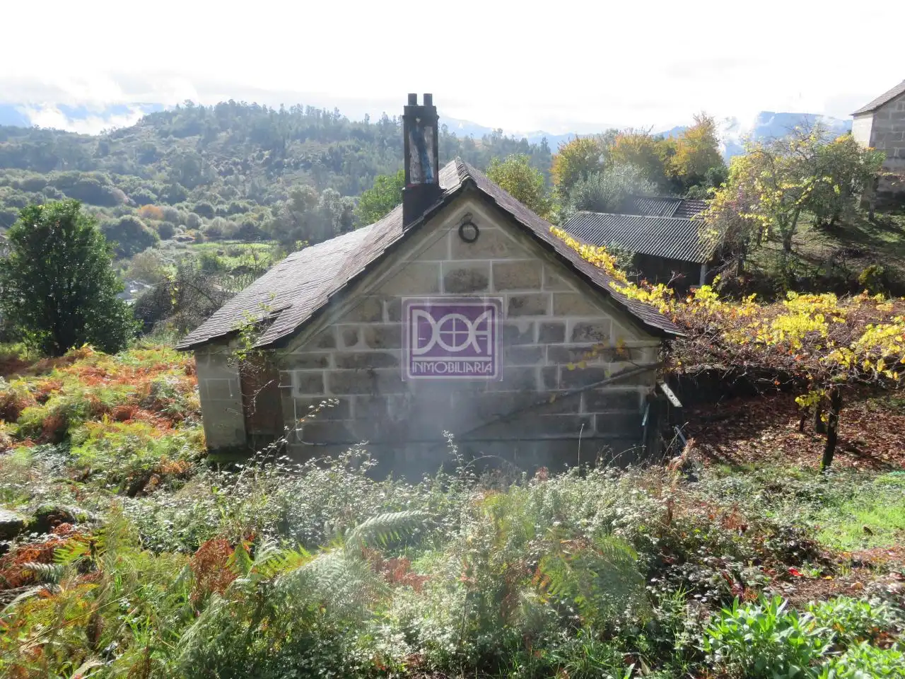 Vista exterior de Casa o chalet en venta en Mondariz con Jardín privado
