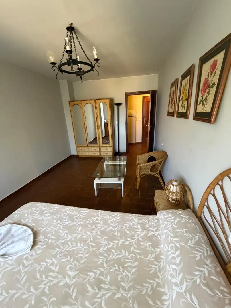 Appartamento con terrazza in affitto a Calle Haya, imagen 21