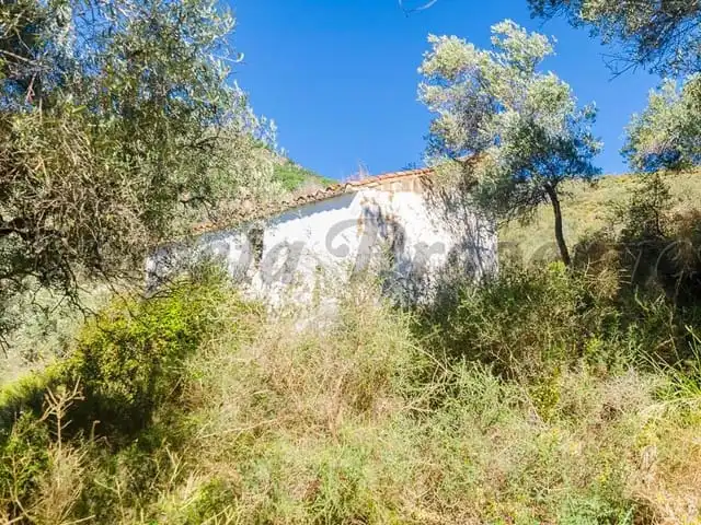 Terreni e lotti in vendita a Canillas de Albaida