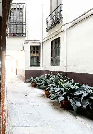 Wohnung mit Terrasse zur Miete in Calle de Bailén, imagen 19