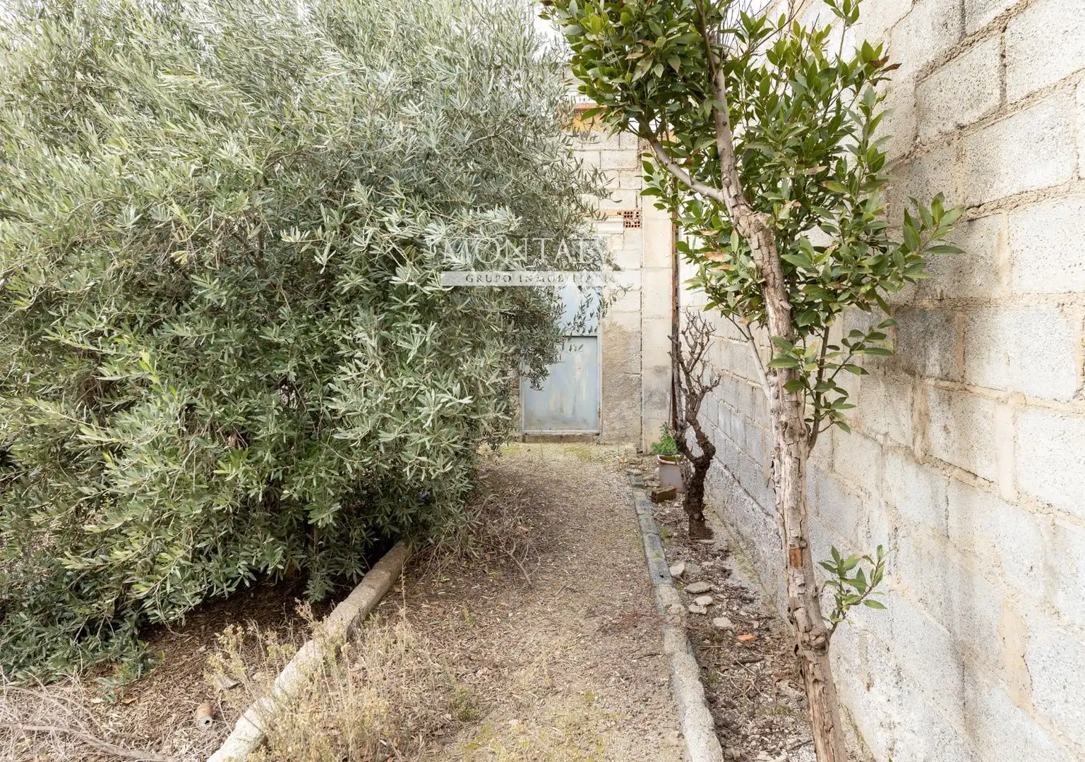 Garden of Land for sale in Fuente Vaqueros