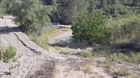 TERRENO RÚSTICO DE 23.055 m2 EN COCENTAINA, immagine 4