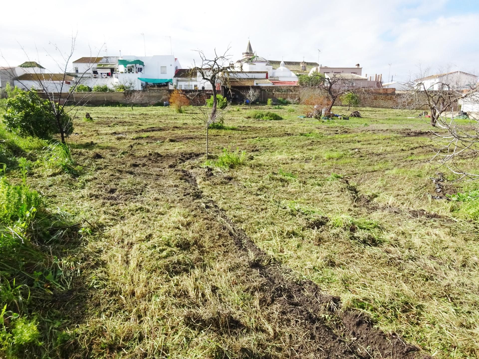 Residential for sale in Huévar del Aljarafe