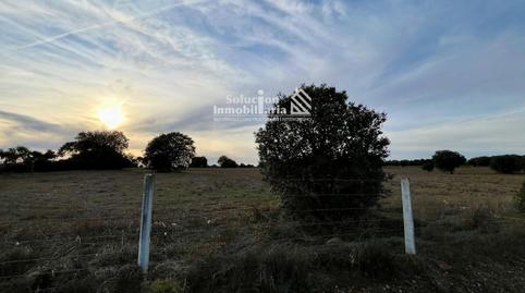 Foto 5 von Grundstücke zum Verkauf in Zamayón, Salamanca