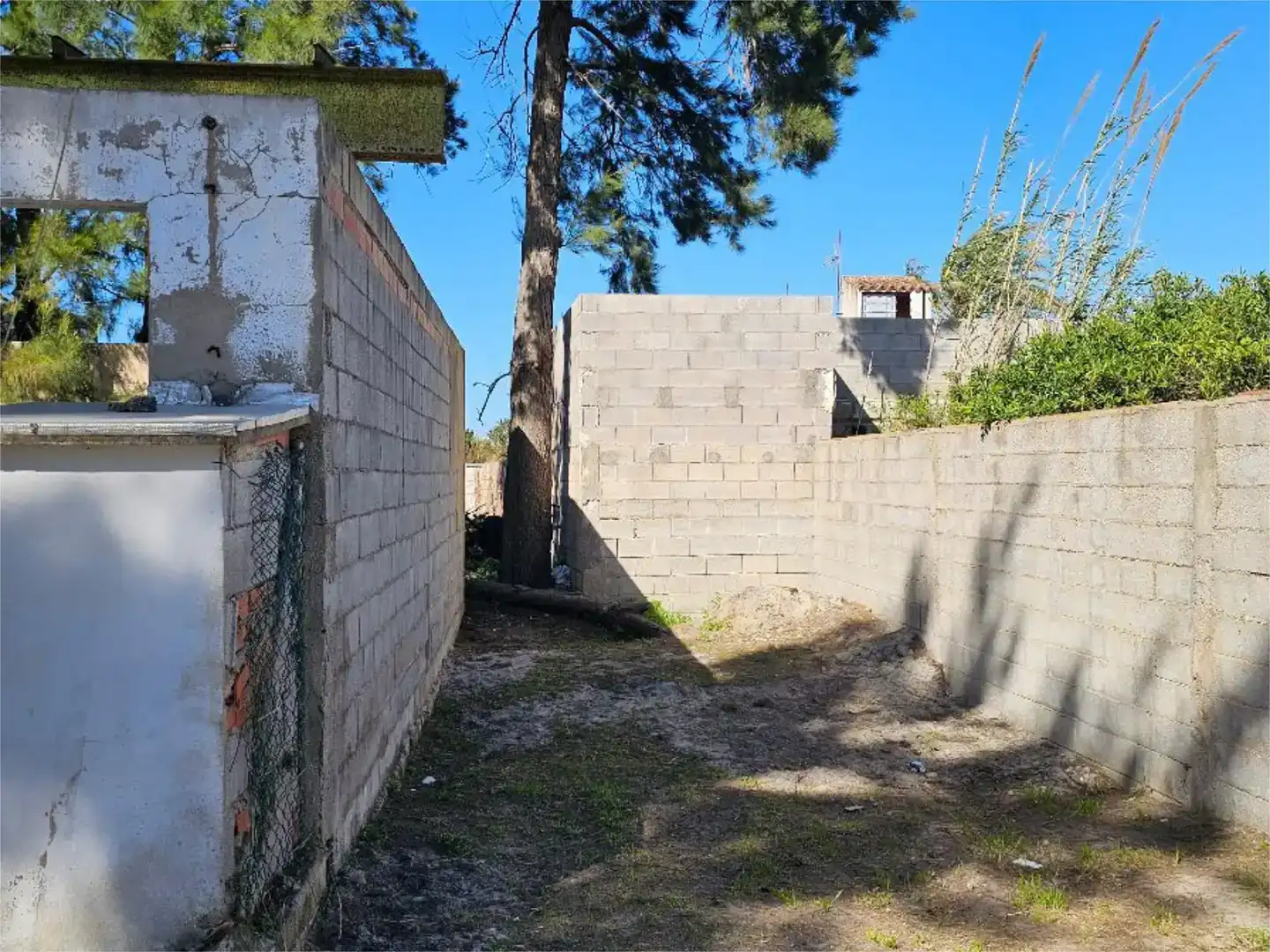 Pis en venda en Oliva amb Jardí privat