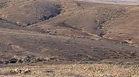 Photo 2 of Land for sale in Tesejerague, Tuineje
