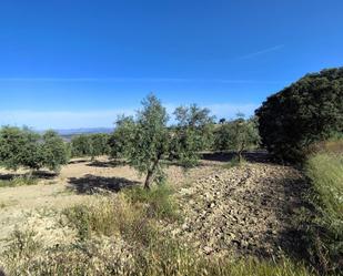 Grundstücke zum verkauf in  Polígono 8 Parcela 166 CUERDA DE AGRON. ARENAS DE, Cacín