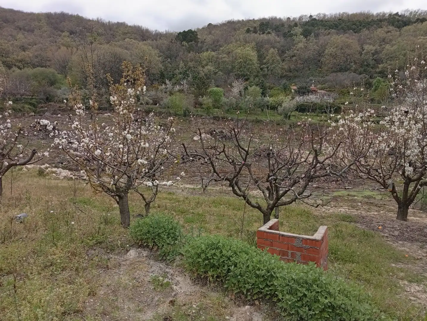 Terreni e lotti in vendita a Villanueva de la Vera, imagen 50