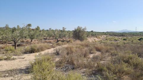 Foto 3 de Finca rústica en venta en Carolinas Bajas, Alicante