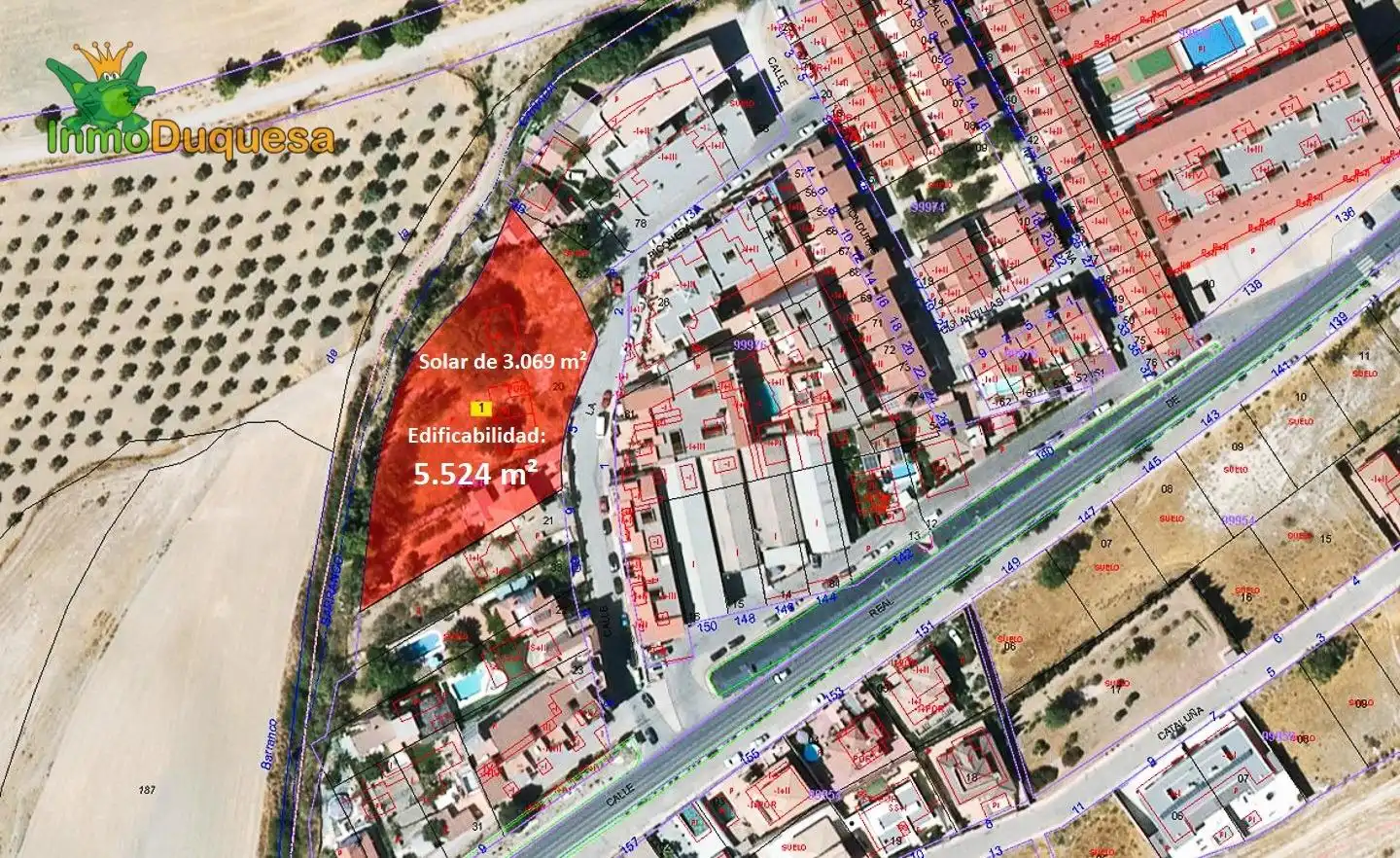 Terreni e lotti in vendita a Calle La Piconera SN