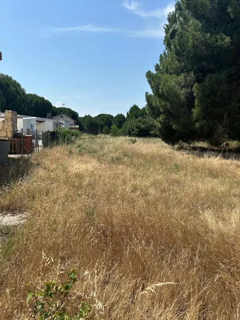 Finca rústica en venda en Traspinedo amb Jardí privat i Piscina