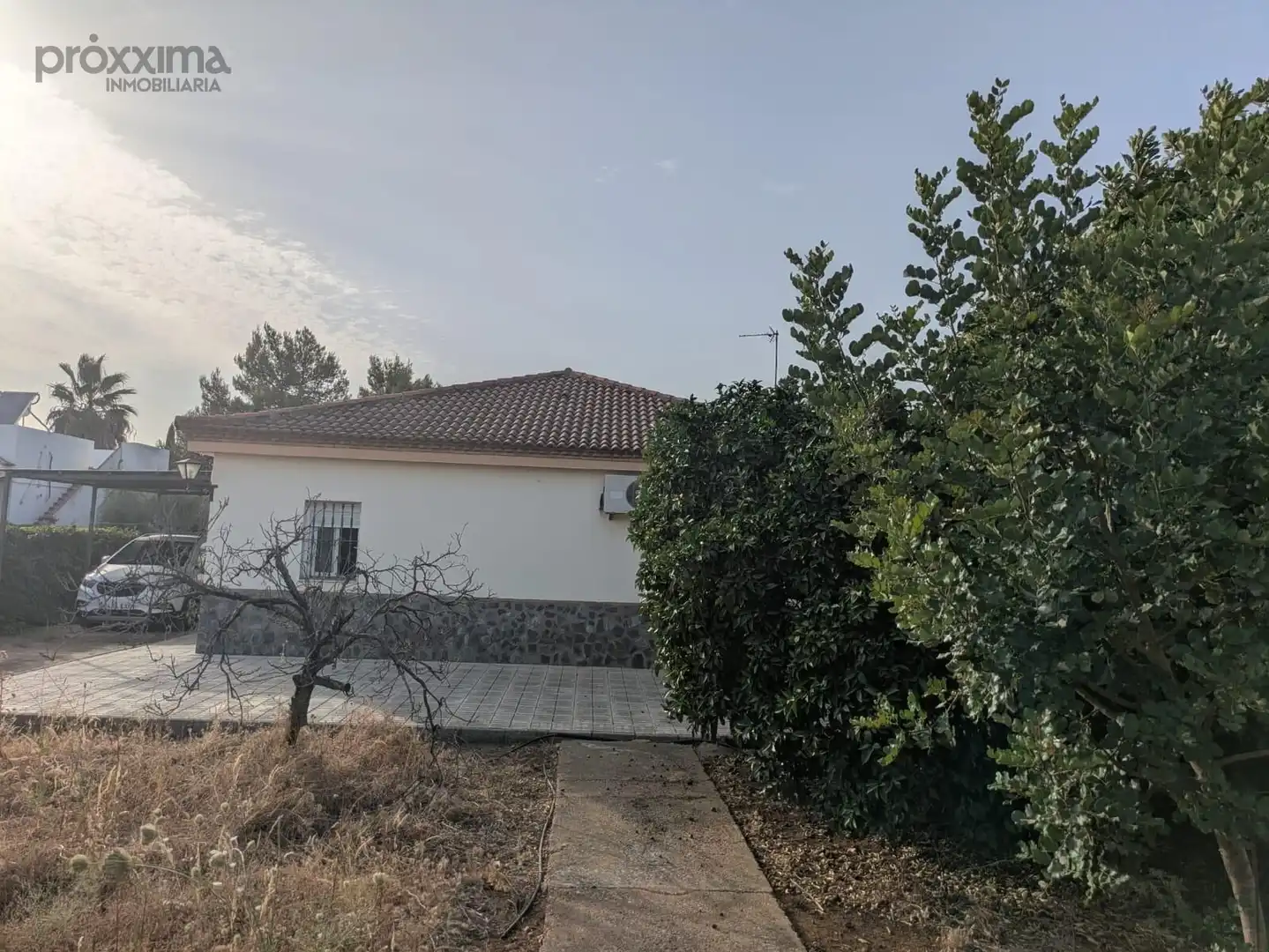 Vista exterior de Finca rústica en venta en La Rinconada