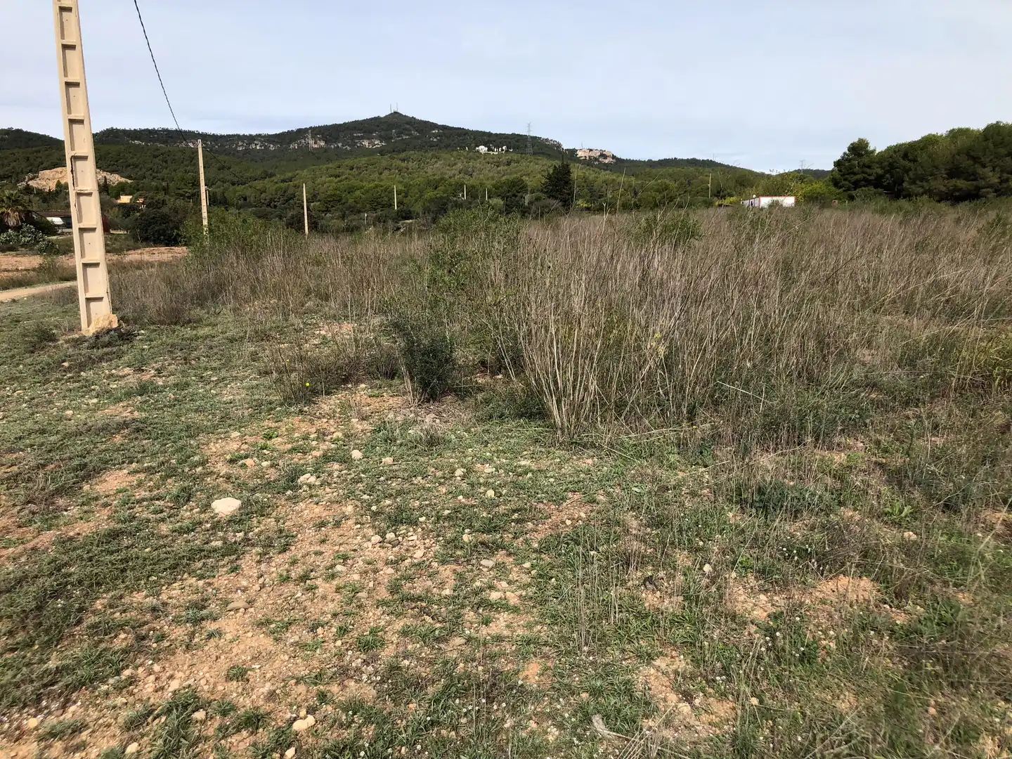 Terreno rústico en venta en Partida Alborada 1, imagen 19