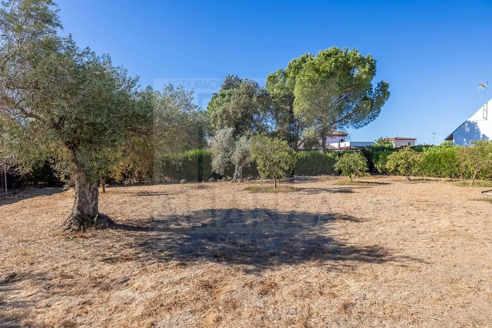 Houses for sale in Sanlúcar la Mayor, Sevilla
