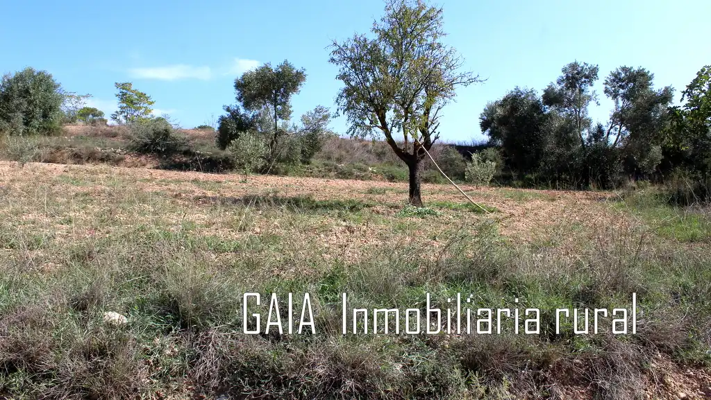 Finca rústica en venda en Batea