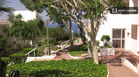 Foto 5 de Estudi per a compartir a Gran Vista - Olivo de Oro, Alicante