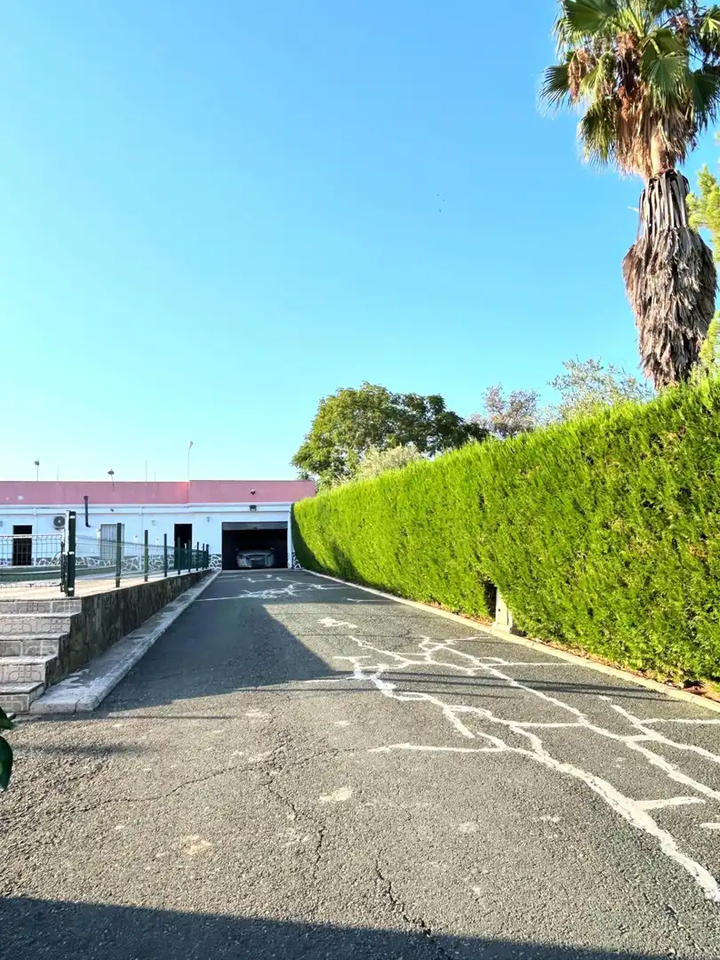 Chalet con piscina en venta en Castilblanco de los Arroyos, imagen 11