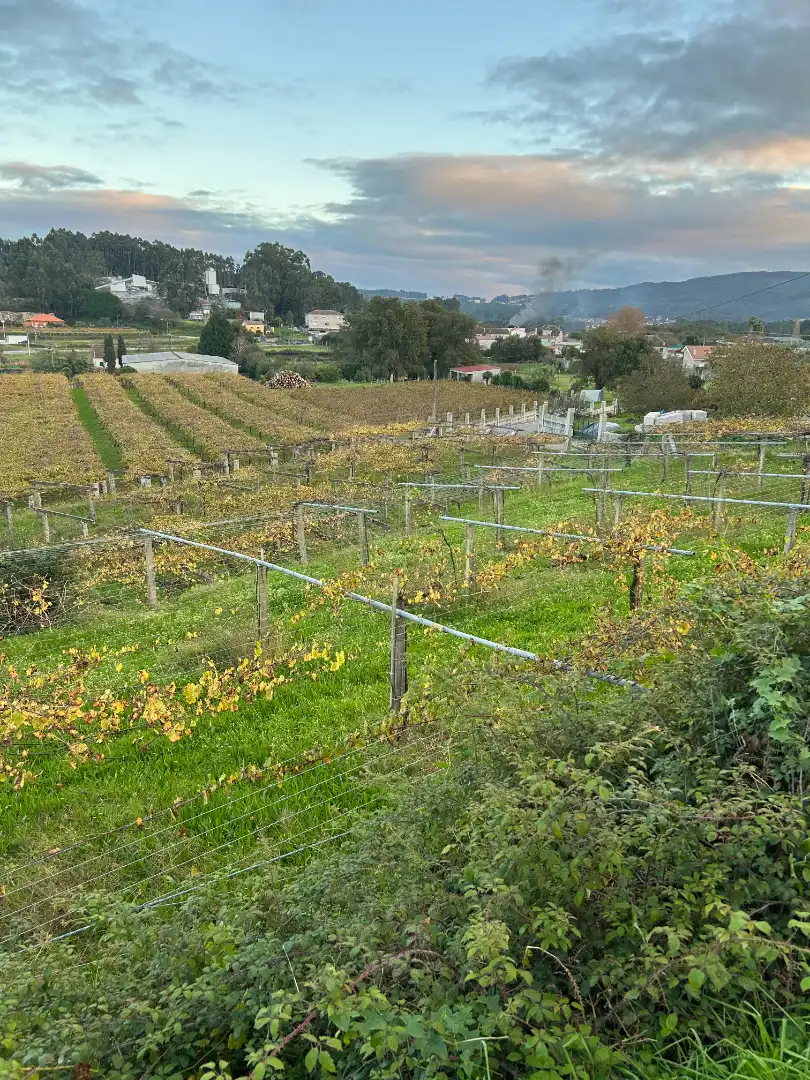 Terreni e lotti in vendita a Lugar Vilanoviña-Paradela, imagen 6