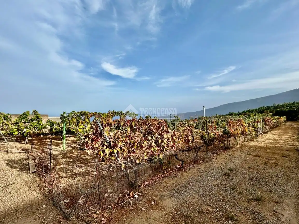 Country homes for sale in Arafo
