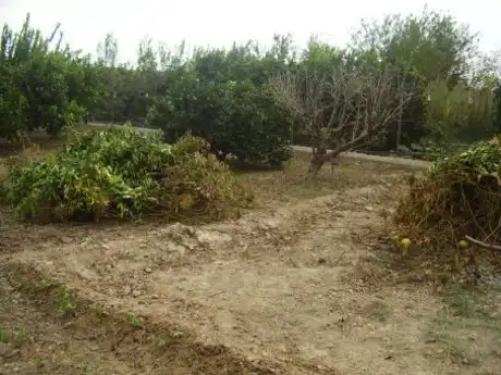 Terreny rústic en venda a Ribera de Molina - Torrealta, imagen 9