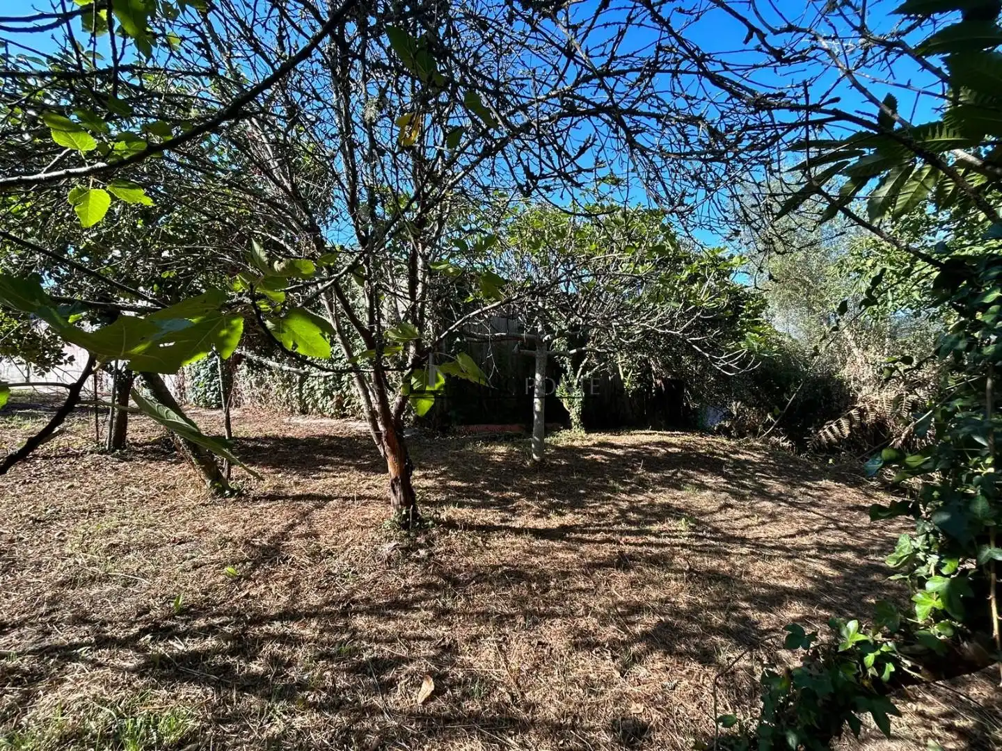 Casa o xalet en venda en Vilaboa amb Jardí privat