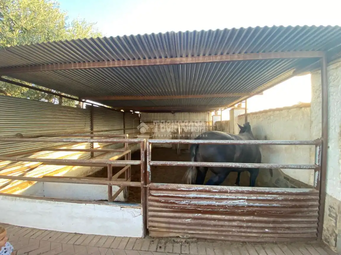 Vista exterior de Finca rústica en venda en El Puerto de Santa María amb Traster i Moblat