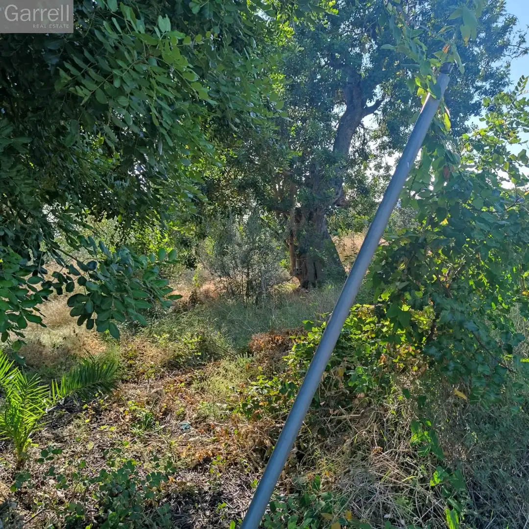 Terreni e lotti in vendita a carrer de Sunyer, imagen 10